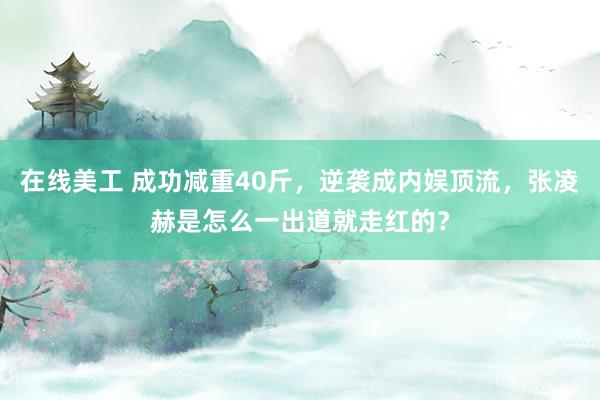 在线美工 成功减重40斤，逆袭成内娱顶流，张凌赫是怎么一出道就走红的？