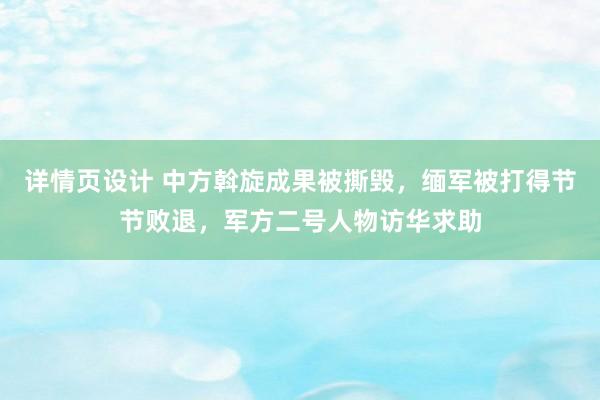 详情页设计 中方斡旋成果被撕毁，缅军被打得节节败退，军方二号人物访华求助