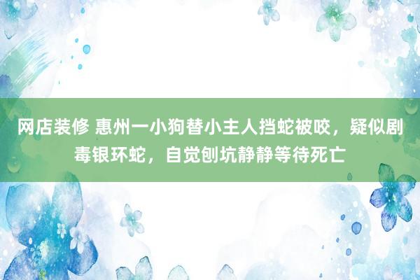 网店装修 惠州一小狗替小主人挡蛇被咬，疑似剧毒银环蛇，自觉刨坑静静等待死亡