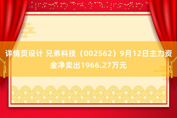 详情页设计 兄弟科技（002562）9月12日主力资金净卖出1966.27万元