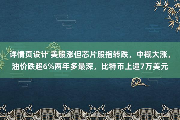 详情页设计 美股涨但芯片股指转跌，中概大涨，油价跌超6%两年多最深，比特币上逼7万美元