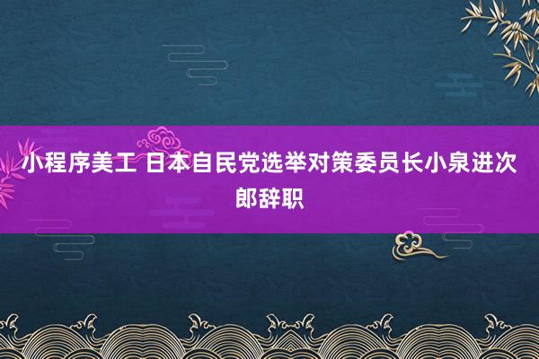 小程序美工 日本自民党选举对策委员长小泉进次郎辞职